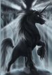 Megan Button and the Dragon Keeper... - Bild 1