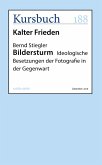 Bildersturm (eBook, ePUB)