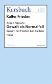 Gewalt als Normalfall (eBook, ePUB)