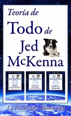Teoría De Todo, De Jed Mckenna--La Perspectiva Iluminada (eBook, ePUB) - McKenna, Jed