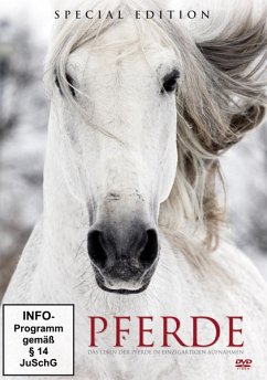 Pferde Special Edition - Diverse