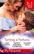 Taming A Fortune (eBook, ePUB) - Bild 1