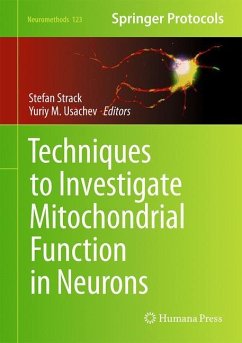 Techniques to Investigate Mitochondrial Function in Neurons