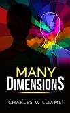 Many Dimensions (eBook, ePUB)