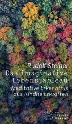 Das imaginative Lebenstableau - Steiner, Rudolf