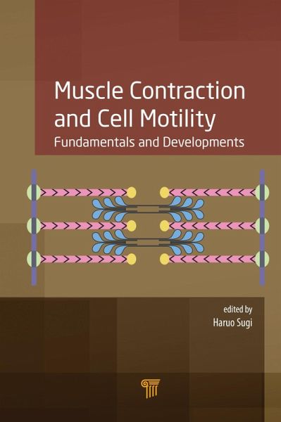 Muscle Contraction and Cell Motility (eBook, PDF)