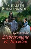 Gesammelte Liebesromane & Novellen (eBook, ePUB)