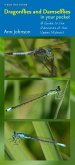 Dragonflies and Damselflies in Your Pocket (eBook, PDF) Dragonflies and Damselflies in Your Pocket (eBook, PDF)