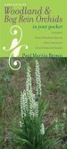 Woodland and Bog Rein Orchids in Your Pocket (eBook, PDF)