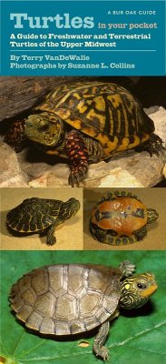 Cover Turtles in Your Pocket (eBook, PDF)