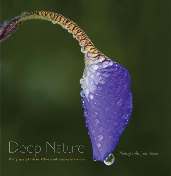 Deep Nature (eBook, PDF)