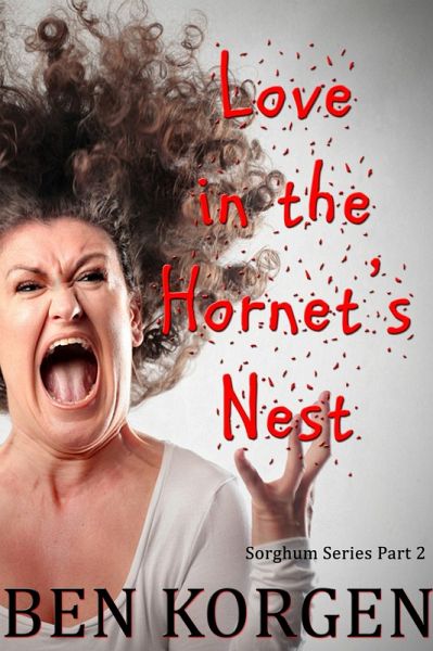 Love in the Hornet's Nest (eBook, ePUB)