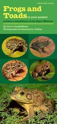Cover Frogs and Toads in Your Pocket (eBook, PDF)
