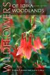 Wildflowers of Iowa Woodlands (eBook,... - Bild 1