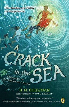 A Crack in the Sea (eBook, ePUB) - Bouwman, H. M.