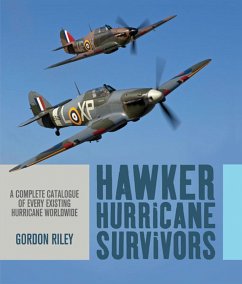 Cover Hawker Hurricane Survivors (eBook, ePUB)