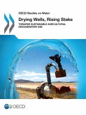Drying Wells, Rising Stakes - Towards Sustainable Agricultural Groundwater Use (eBook, PDF) Drying Wells, Rising Stakes - Towards Sustainable Agricultural Groundwater Use (eBook, PDF)