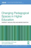 Changing Pedagogical Spaces in Higher Education (eBook, PDF)