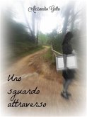 Uno sguardo attraverso (eBook, ePUB)