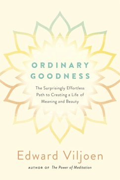 Ordinary Goodness (eBook, ePUB) - Viljoen, Edward