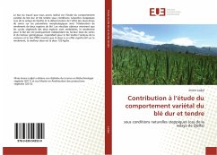 Contribution à l¿étude du comportement variétal du blé dur et tendre - Ladjal, Imane