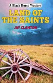 Land of the Saints (eBook, ePUB)