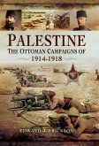 Palestine (eBook, ePUB)