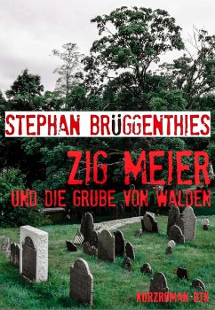 Zig Meier und die Grube von Walden (eBook, ePUB) - Brüggenthies, Stephan