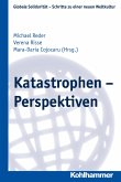 Katastrophen - Perspektiven (eBook, PDF)