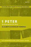 1 Peter: An Introduction and Study Guide (eBook, PDF)
