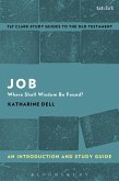 Job: An Introduction and Study Guide (eBook, ePUB)