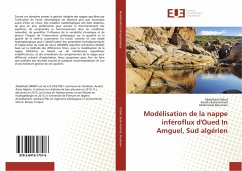 Modélisation de la nappe inféroflux d'Oued In Amguel, Sud algérien - Dribat, Abdelhadi;Baba-Hamed, Kamila;Bouanani, Abderrazak