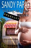 Poking At Their Pregnant Blonde (eBook, ePUB)