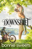 Downshift (Downshift Series, #1) (eBook, ePUB)