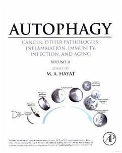 Autophagy: Cancer, Other Pathologies, Inflammation, Immunity, Infection, and Aging