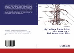 High Voltage Transmission Lines: Importance, Maintenance and Risks