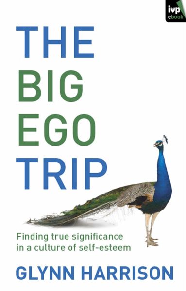 The Big Ego Trip (eBook, ePUB)