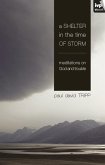 A Shelter in the Time of Storm (eBook, ePUB)