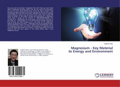 Magnesium - Key Material to Energy and Environment - Yabe, Takashi