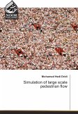 Simulation of large scale pedestrian flow