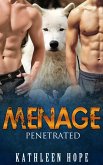 Menage: Penetrated (eBook, ePUB) Menage: Penetrated (eBook, ePUB)