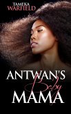 Antwan's Baby Mama (eBook, ePUB)