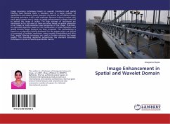 Image Enhancement in Spatial and Wavelet Domain