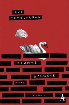 Stumme Schwäne (eBook, ePUB) - Temelkuran, Ece