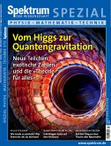 Vom Higgs zur Quantengravitation (eBook, ePUB)