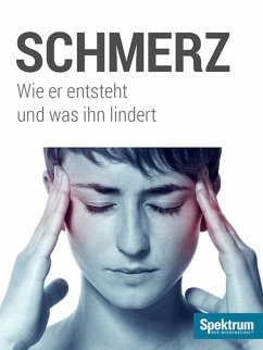 Cover Schmerz (eBook, ePUB)