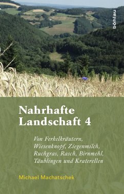 Nahrhafte Landschaft 4 - Machatschek, Michael