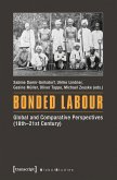 Bonded Labour (eBook, PDF)