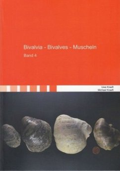 Bivalvia - Bivalves - Muscheln - Kraeft, Uwe; Kraeft, Michael