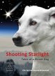 Shooting Starlight (eBook, ePUB) - Bild 1